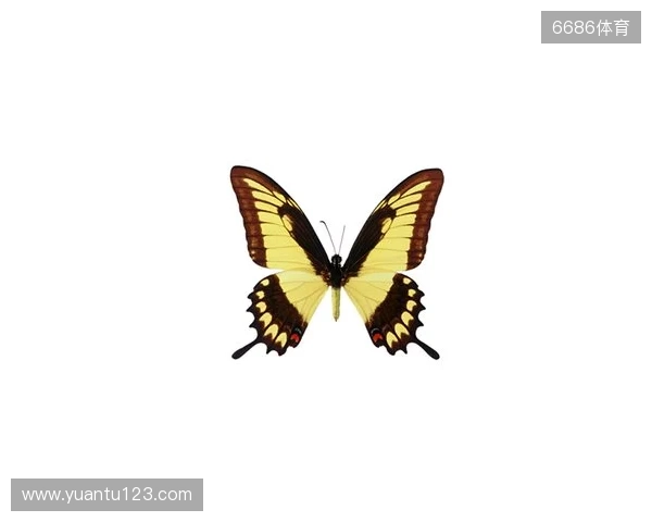 破茧成蝶:Legacy如何登顶南美、跻身世界顶尖行列 破茧成蝶:Legacy如何登顶南美、跻身世界顶尖行列